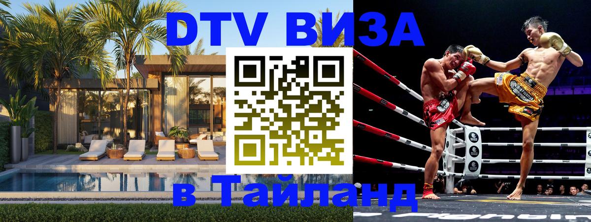 Оформить DTV визу в Тайланд Рубцовск 